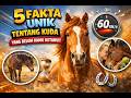 5 FAKTA UNIK TENTANG KUDA YANG BELUM KAMU KETAHUI