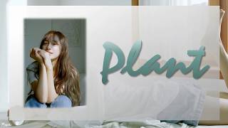 [THAISUB/ซับไทย]  Plant (화분) - Kim Sejeong (김세정) (GUGUDAN) #ไซคีซับ