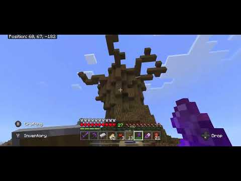 WE STARTED A REALLY COOL BUILD!!!! | Captain Egg’s World-(9)