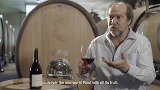 La Linterna Pinot Noir “Finca Las Piedras” Los Arboles 2013 - Bemberg Estate Wines