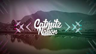 DJ Viral Tik Tok!!! Tiban Bahana Kui ( Bangers Fvnky ) Remix By [ RK 28 ] Terbaru 2020