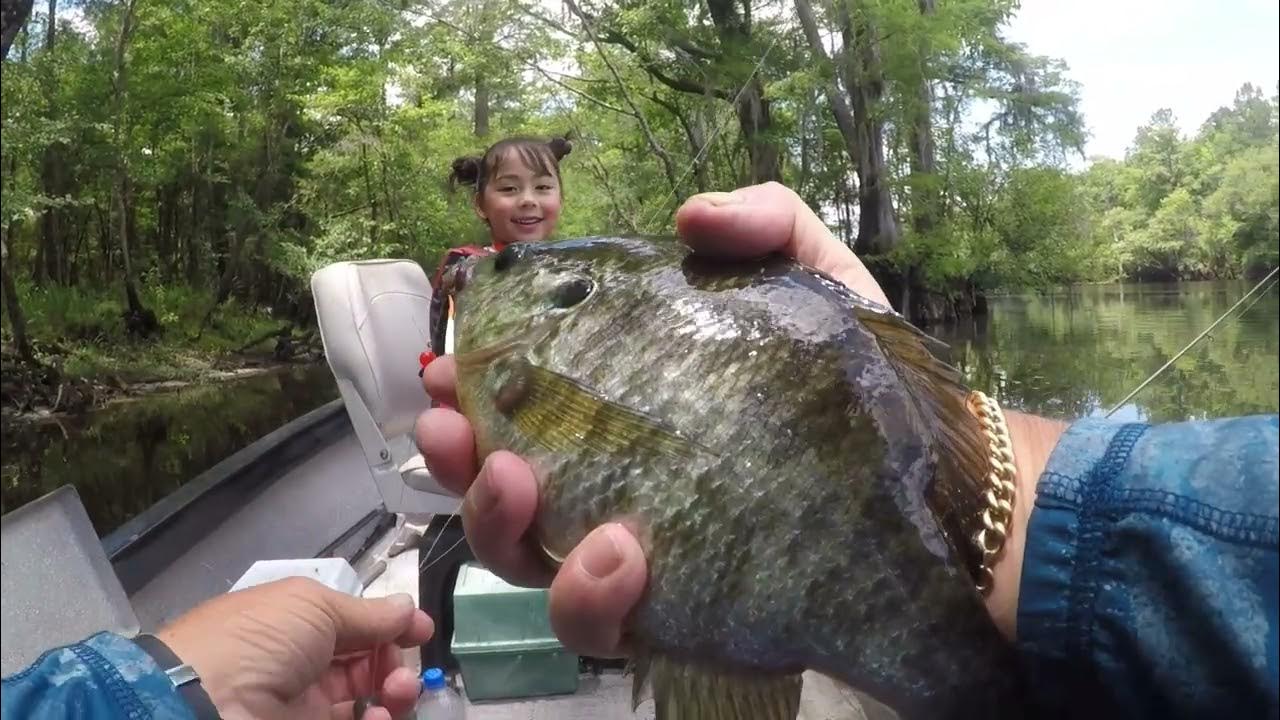 Nadine Catching Shellcracker And Bream With RodnReel. YouTube