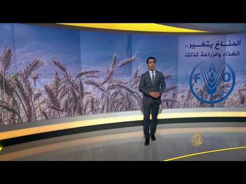 إهدار عالمي للغذاء وسعي للقضاء على الجوع