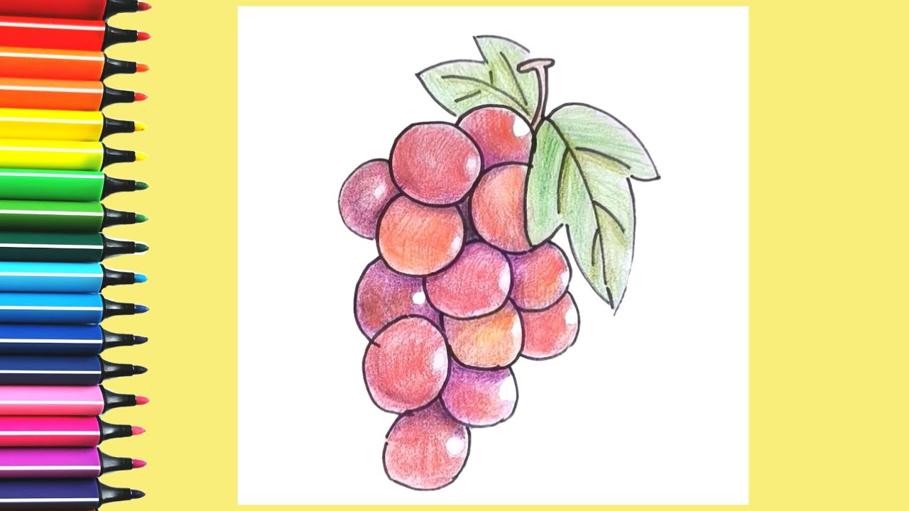 儿童简笔画−如何画葡萄和涂色How to draw grapes ? - YouTube