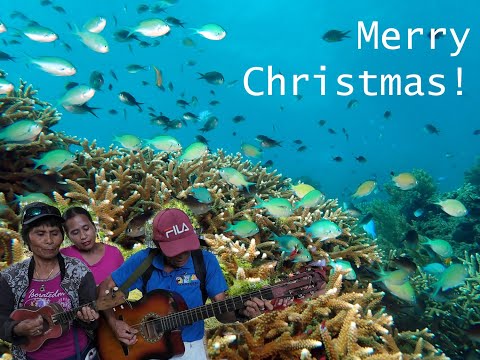 Filipino Christmas Songs and Coral Reefs in 4K #Philippines