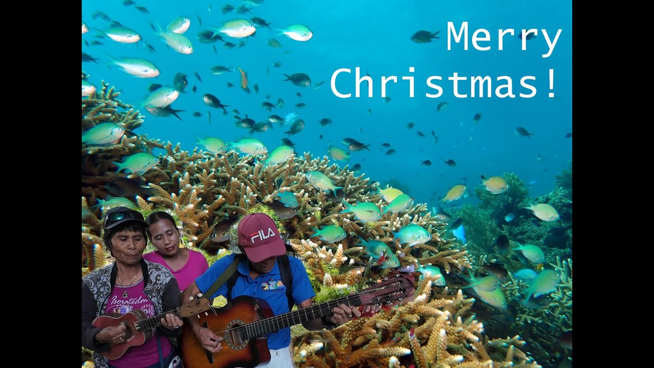 Filipino Christmas Songs and Coral Reefs in 4K 