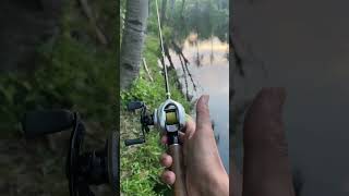 Brake system DMK 🎻cheetah #fishing #fypviral #fypシ゚viral #fy #fishingvideo #fypyoutube #mychannel