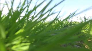 Dronevideo Random Short Clips Phantom Nl