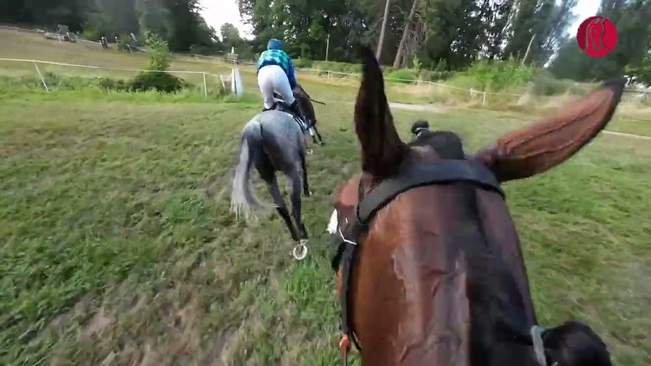 Grand Cross de Pompadour 2022: en selle avec Kilian Dubourg sur Drop d'Estruval
