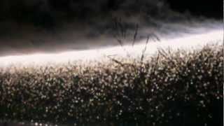 Firework Waterfall
