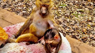 Это ОЧЕНЬ ГРУСТНО, но возможно, Манечка НИКОГДА НЕ СМОЖЕТ СТАТЬ МАМОЙ😔