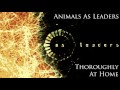 Animals as Leaders - Animals as Leaders 8-BIT FULL ALBUM