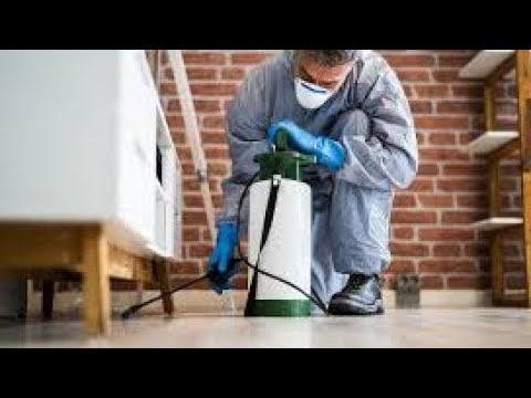 شركة مكافحة حشرات بالطائف مكافحة الصراصير وبق الفراش ورش المبيدات كلين هاوس 