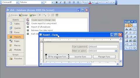 MS Access 2003 Part 28) Form in Dari / Farsi Omar Akbari