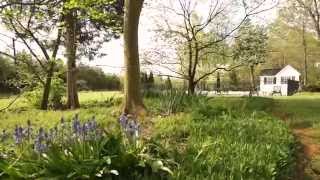 1555 Hanford Rd video tour