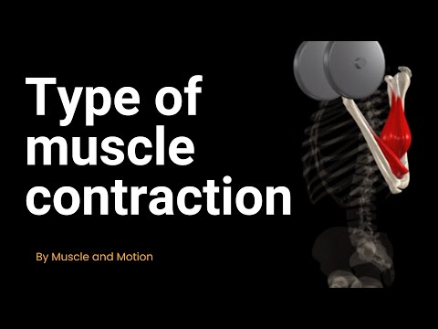Video: Welke spieren produceren intorsie?