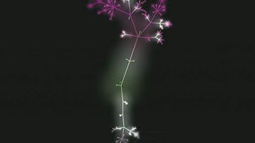 Software Development visualized