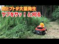 放置したヤブ蚊が多い空地を乗用草刈り機で「サッ」と刈る！