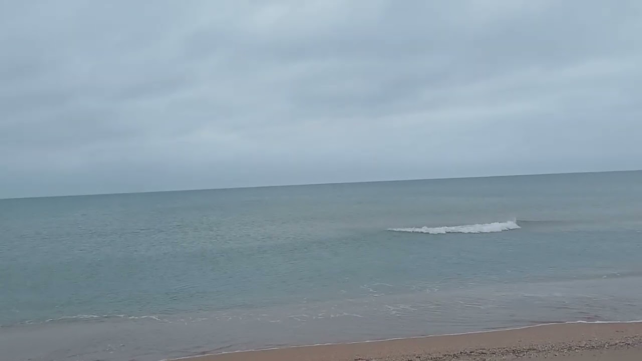 НовостиХреновости-Боевые роботы тараканы.Дроны в Питере будут охотится на туристов.