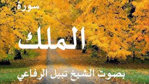 سورة الملك بصوت الشيخ نبيل الرفاعي