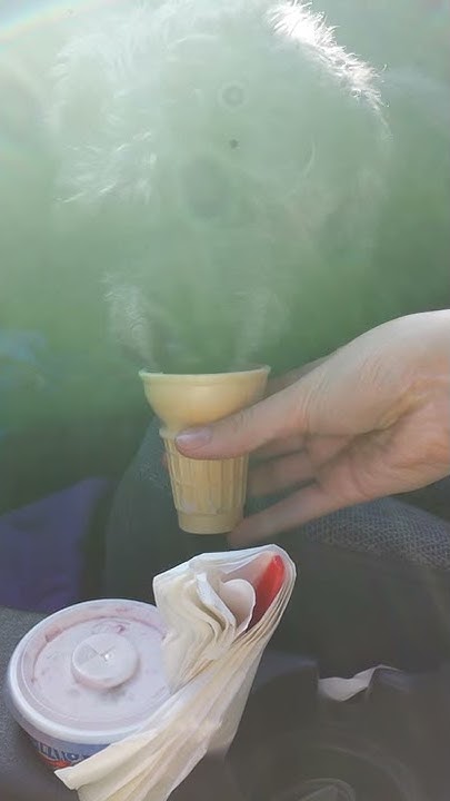 When The Fuck Did We Get Ice Cream When the fuck did we get ice cream?! - YouTube