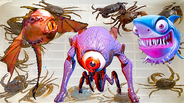 Kem Ốc Chanel ra đồng bắt cá ngày mưa lũ: cá trê, con cua, cá mập màu sắc cứu con vịt, con nòng nọc.