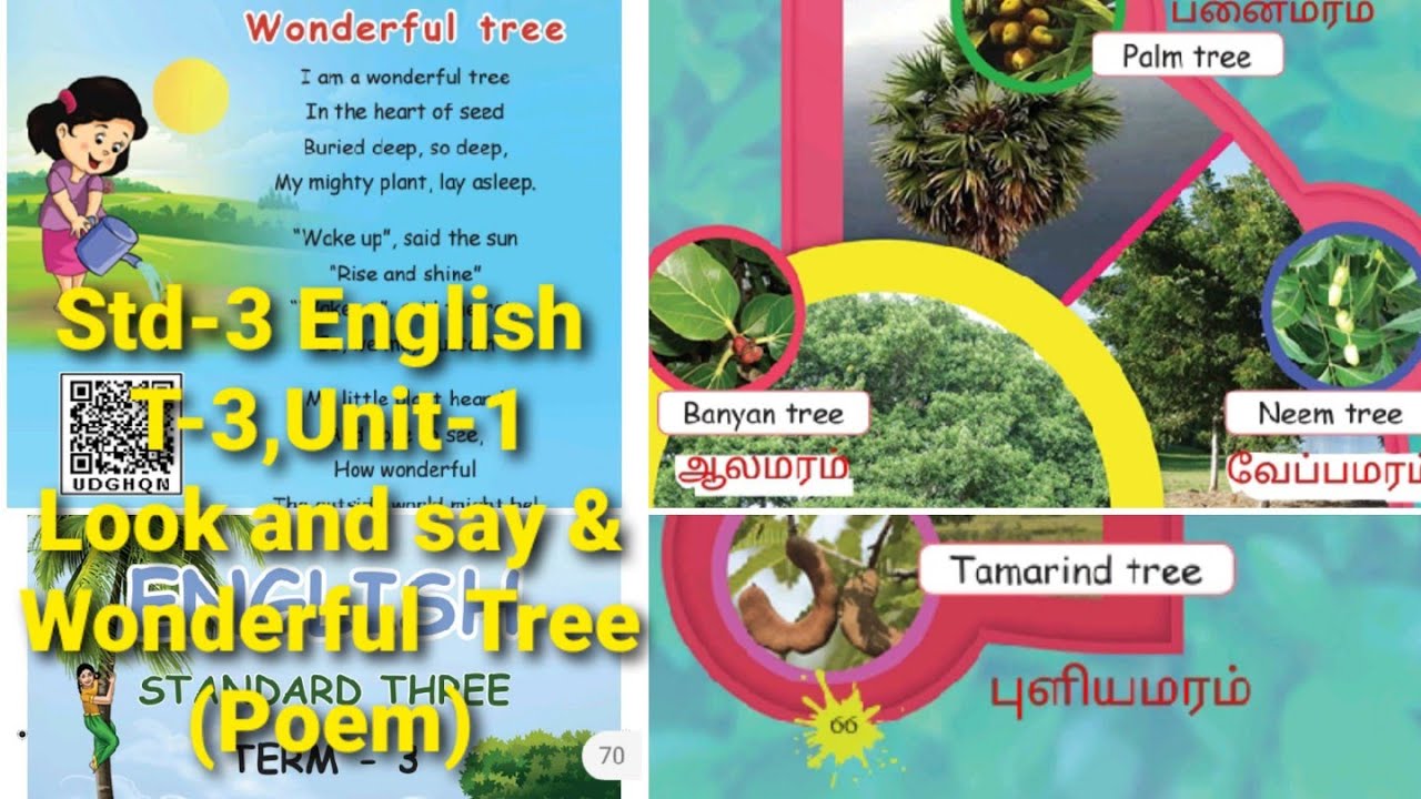 "Wonderful Tree" (Poem) & Our leafy friends (Look and say)3rd std ...