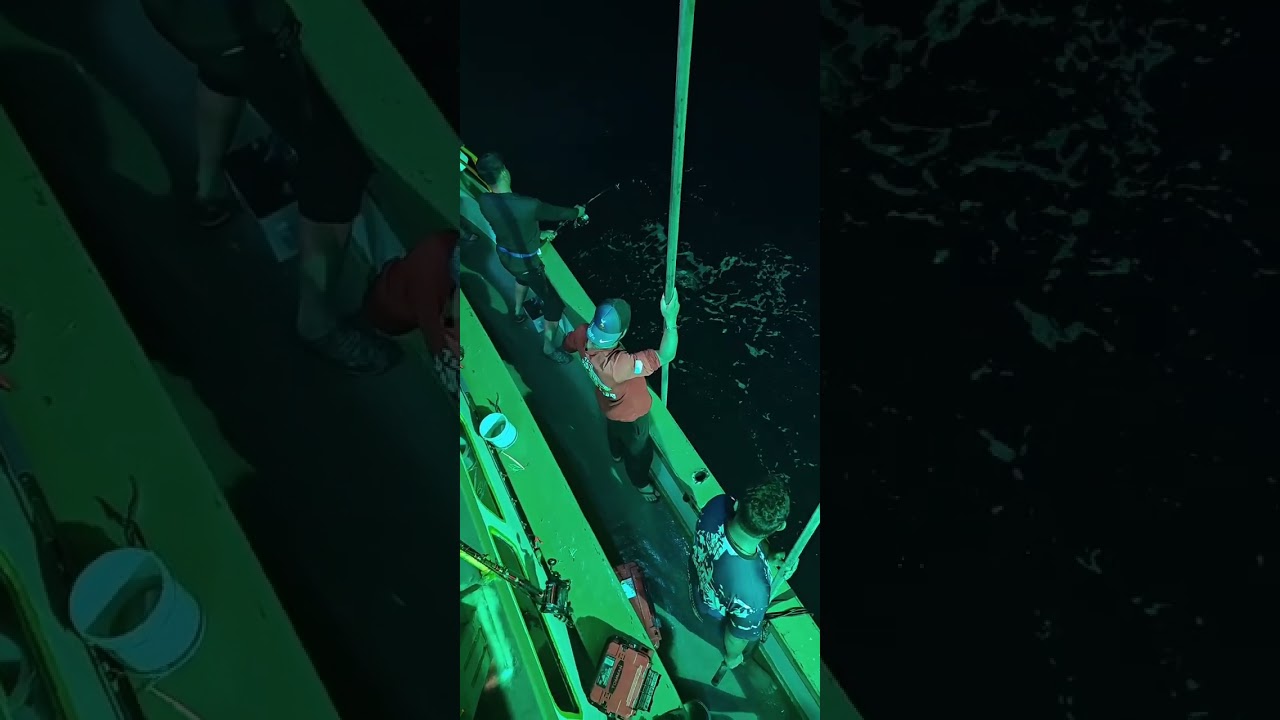 Project Yellowfin Tuna Mega..makan 4x, lost 3, naik 1..42kg Part 2