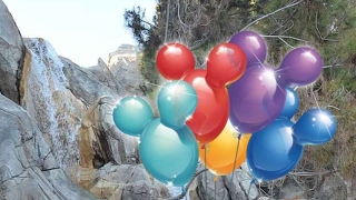 Crazy Disney Mom Live Stream