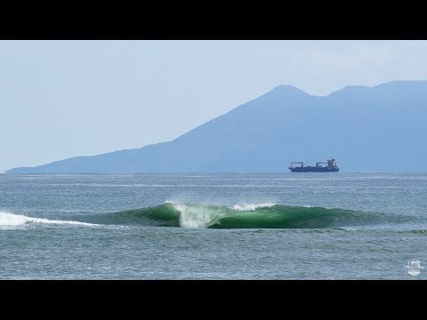 South Swell Sessions