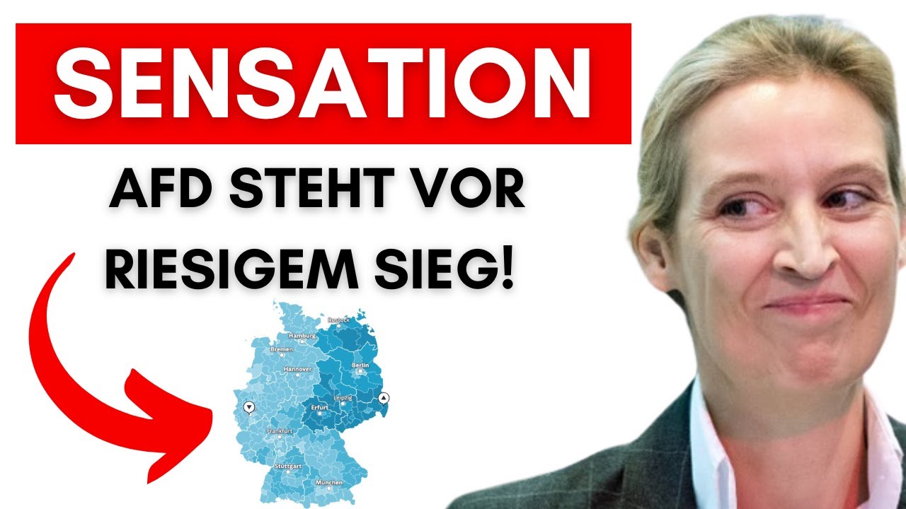 INSA-Chef im Interview: Die AfD könnte die absolute Mehrheit holen!