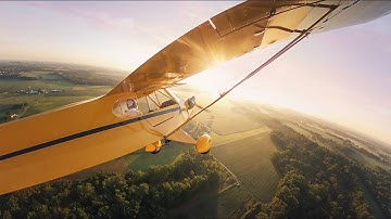 Piper Cub Grass field Landing (GoProMAX 360º Camera)