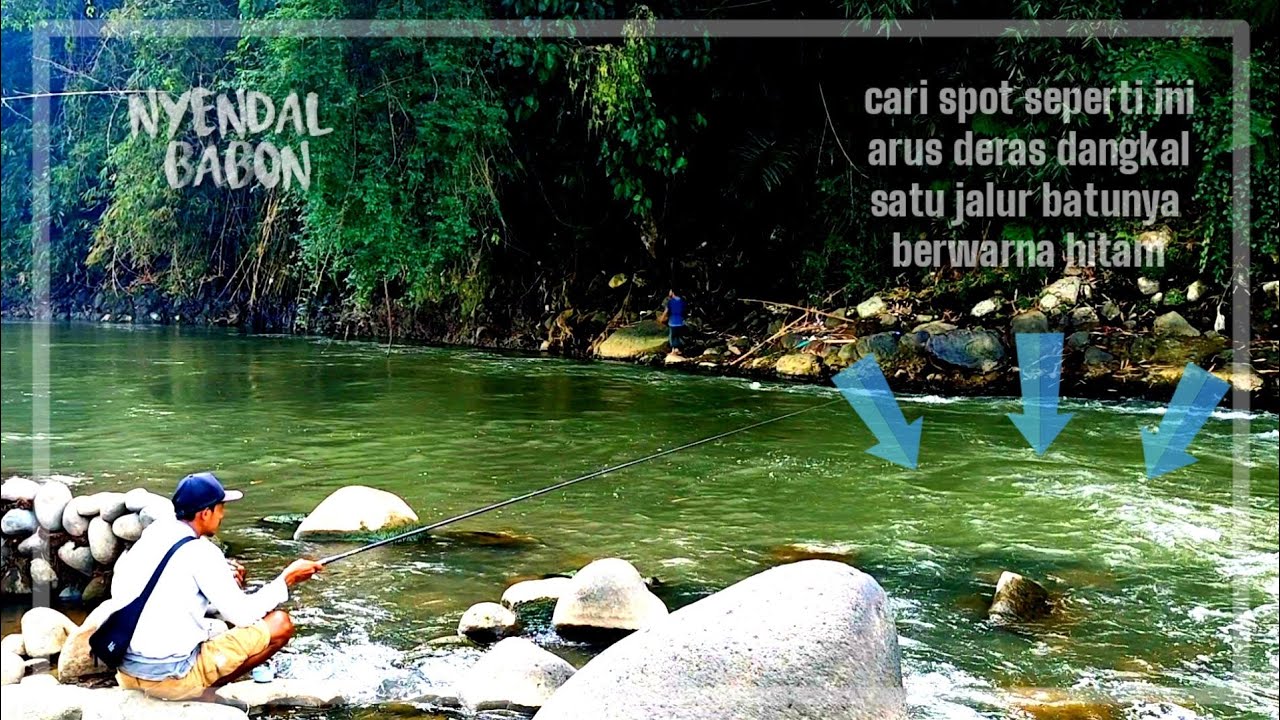 TERNYATA NILEM BABON SUKA NGUMPUL DI ARUS SEPERTI INI || MANCING IKAN NILEM