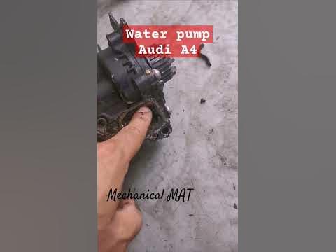 audi a4 water pump #carrepair #automobile #youtubeshorts #car #