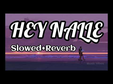 Hey Nalle (Slowed+Reverb) Music Vibes