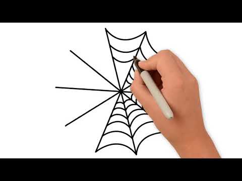 How to Draw Spider Easy Step By Step - Vẽ Mạng Nhện Và Con Nhện.