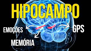 What you need to know about the hippocampus.