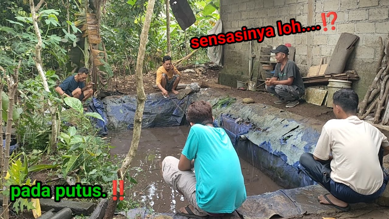 PADA KWALAHAN.‼️ Mancing lele nyampai putus berkali kali