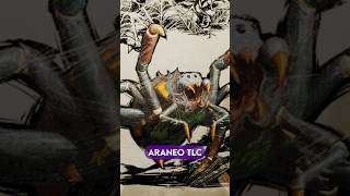 Signs the Araneo TLC is very close!