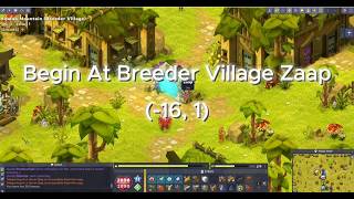Path To Skeunk Dungeon In Dofus [2025] - Works For Touch & PC