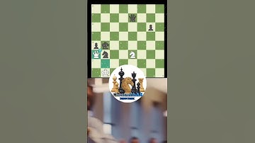 The Queen!!! #chesss #chessgame #chessman #chesstime #checkmate #chessmood #chesscom #chessable