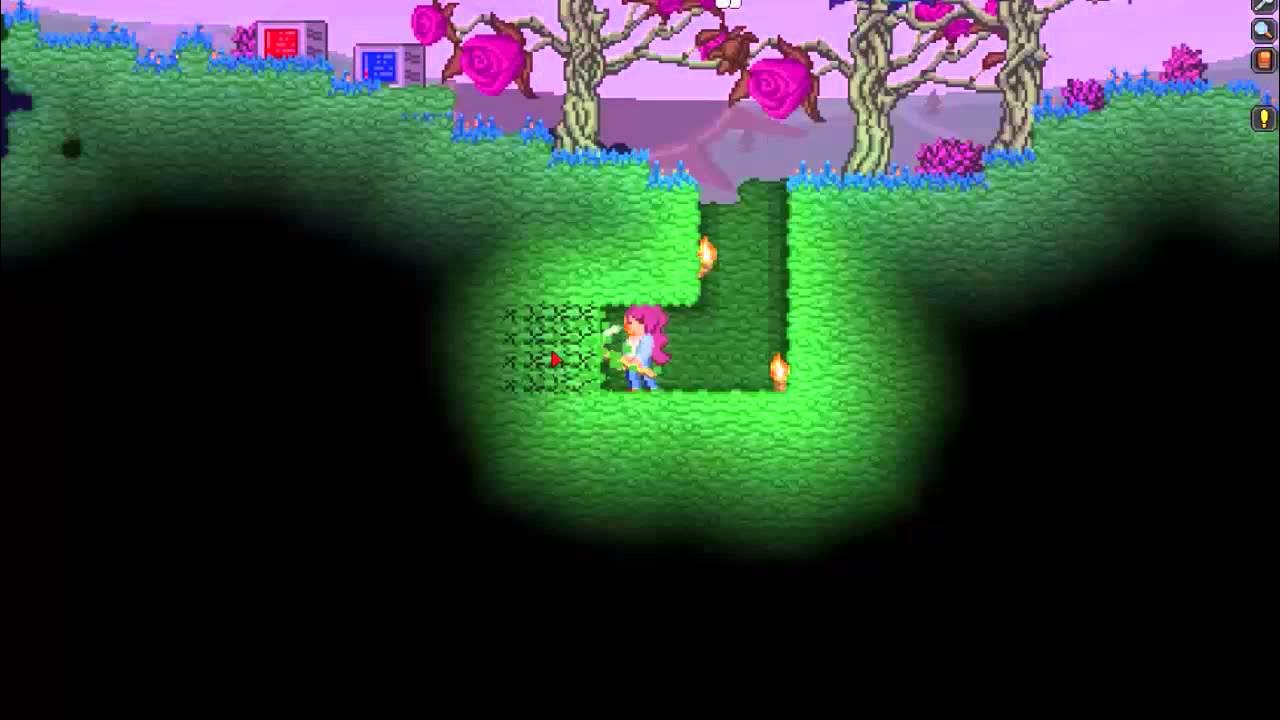 Terraria mine