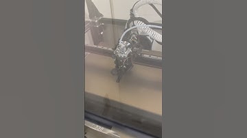 VZBot serial request