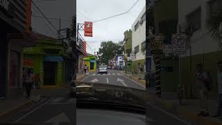 San Vicente El Salvador  shorts