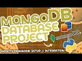 Python Database Project #1 - Remote MongoDB Setup & Integration