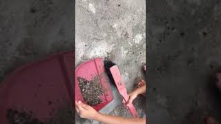 Using a dust pan and brush-outdoors EPL 2-3 yrs