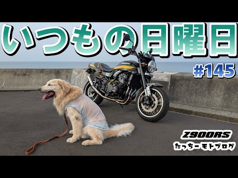 わんこ様 Motovlog] #145 KAWASAKI Z900RS A normal Sunday with fluffy
