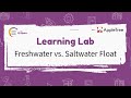 Floating and Sinking: The Science of Salt Water and Fresh Water