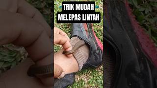trik melepas gigitan lintah tanpa rasa sakit #trendingshorts #tricks