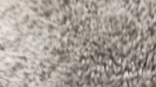 The Last Thunderclap episode 1 teaser